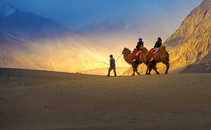 Camel Safari in Leh